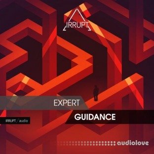 Irrupt Expert Guidance