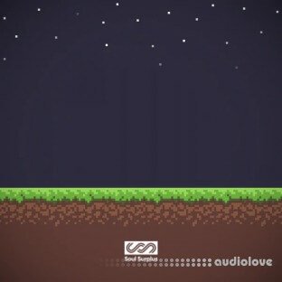 Soul Surplus 8 Bit (Sample Pack)