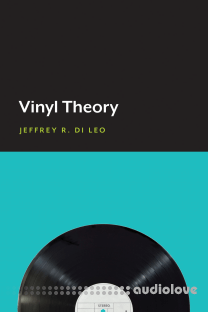 Vinyl Theory