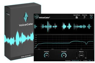 Accentize VoiceGate