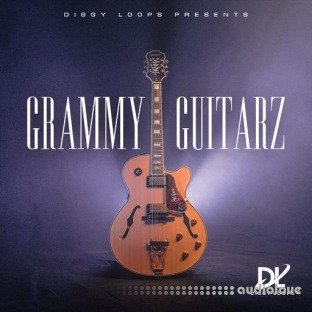 HOOKSHOW GRAMMY GUITARZ