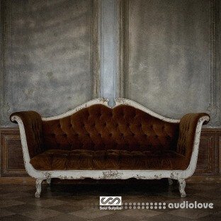 Soul Surplus Soul Era (Compositions And Stems)