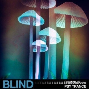 Blind Audio Somnus Psy Trance