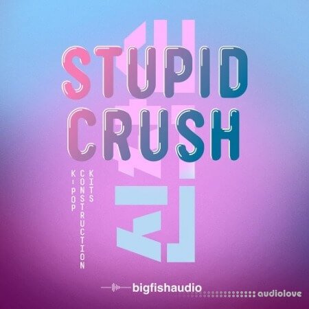 Big Fish Audio Stupid Crush K-Pop