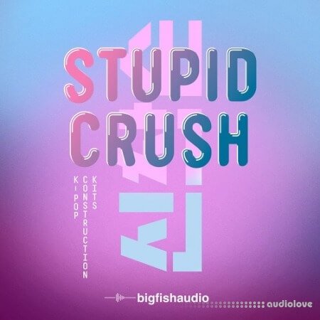 Big Fish Audio Stupid Crush K-Pop WAV