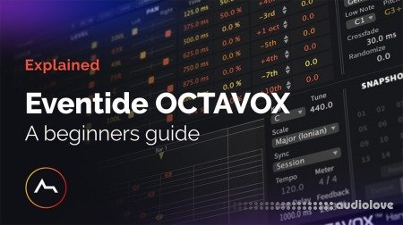 ADSR Sounds Eventide Octavox Beginners Guide TUTORiAL