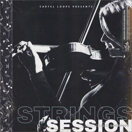 Cartel Loops String Session