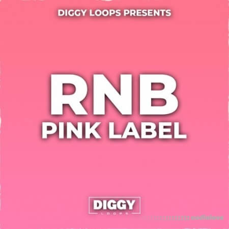 HOOKSHOW RnB Pink Label WAV