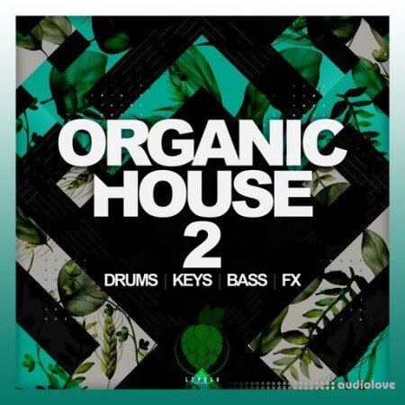 Dirty Music Organic House Vol. 2