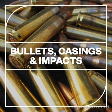 Blastwave FX Bullets Casings and Impacts WAV