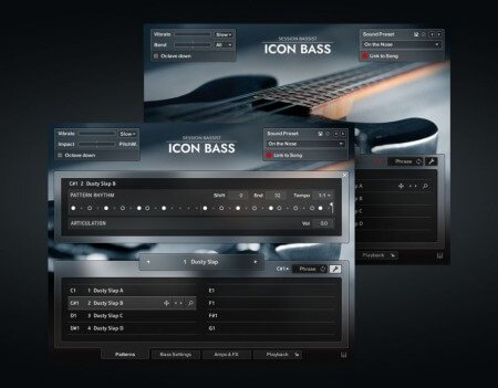 Native Instruments Session Bassist Icon Bass