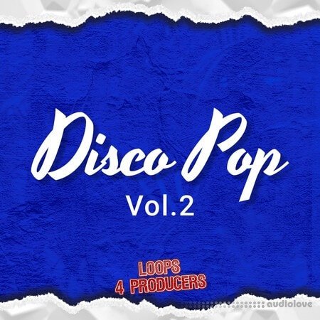 Loops 4 Producers Disco Pop Vol.2