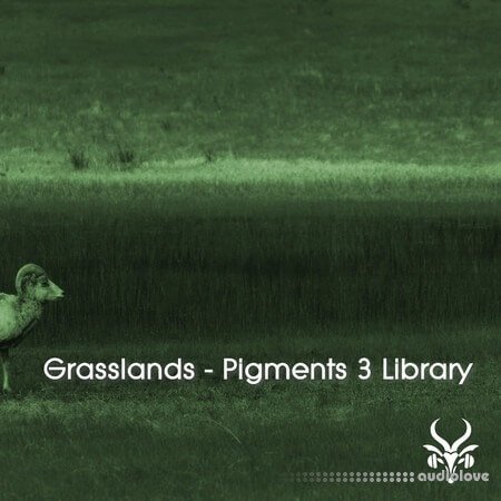 Vicious Antelope Grasslands Pigments 3