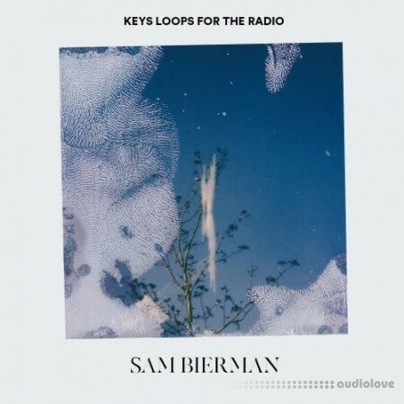 Sam Bierman Keys Loops For The Radio WAV