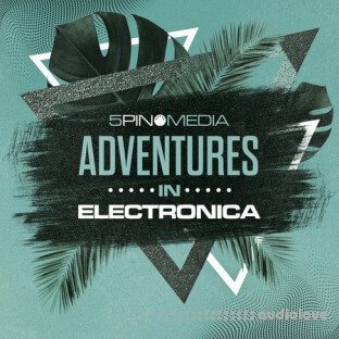 5 Pin Media Adventures In Electronica