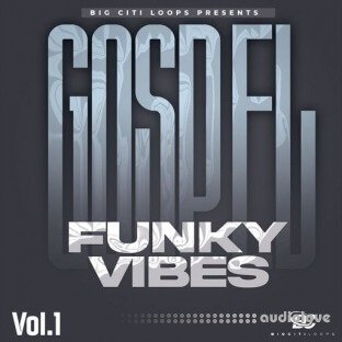 Big Citi Loops Gospel Funky Vibes Vol.1