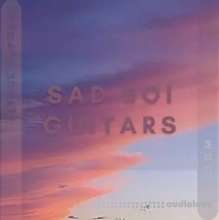 WAVS Kingdom Sad Boi Guitars
