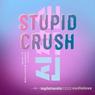 Big Fish Audio Stupid Crush K-Pop