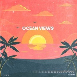 Tariq Ali Ocean Views
