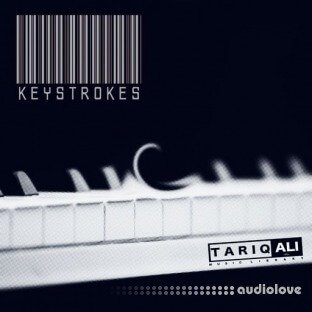 Tariq Ali Keystrokes