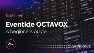 ADSR Sounds Eventide Octavox Beginners Guide