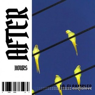 Lazerdisk After Hours Lo-Fi Samples