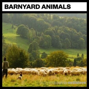 Big Room Sound Barnyard Animals