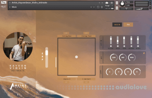 Inletaudio Kayvon Violin Intimate