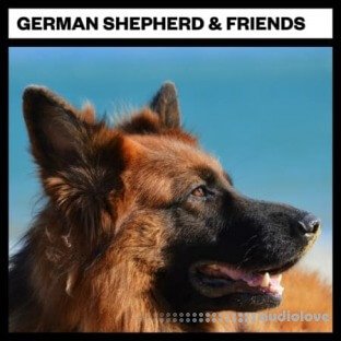 Big Room Sound German Shepard and Friends