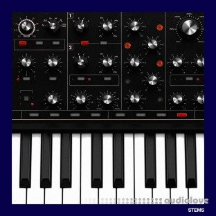 Soul Surplus Synth Pack Vol.2 (Compositions And Stems)
