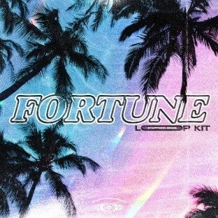 Stafford Beats Fortune (Loop Kit)