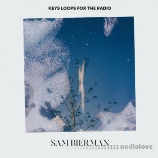 Sam Bierman Keys Loops For The Radio
