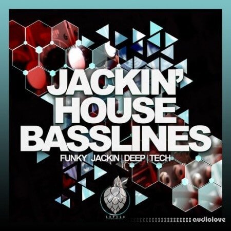 Dirty Music Jackin House Basslines WAV