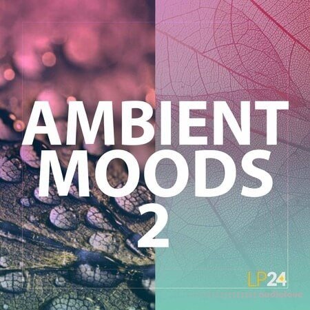 Lp24 Ambient Moods 2