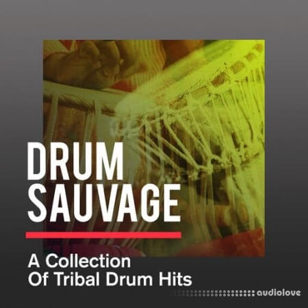 Sonicycle Sonicycle - Drum Sauvage - A Collection Of Tribal Drum Hits