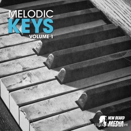 New Beard Media Melodic Keys Vol 1