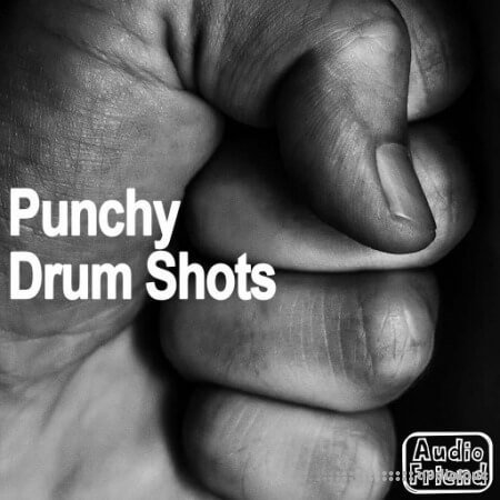 AudioFriend Punchy Drum Shots WAV