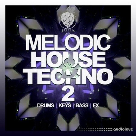 Dirty Music Melodic House & Techno Vol. 2 WAV