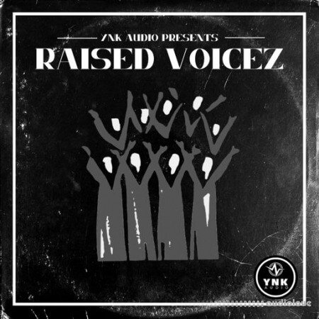 YnK Audio Raised Voicez