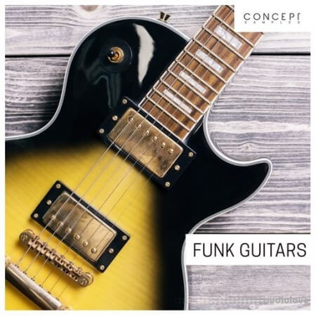 Concept Samples Funk Guitars WAV
