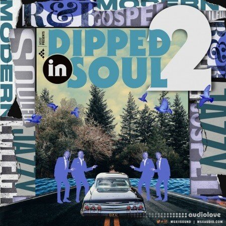 MSXII Sound Dipped In Soul Vol.2