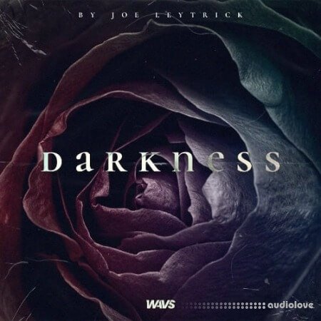 Joe Leytrick Darkness Guitar Kit WAV