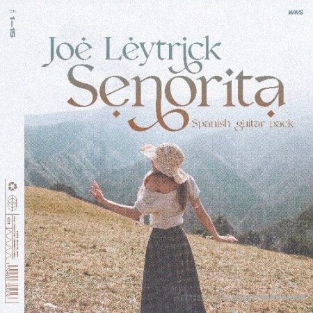 Joe Leytrick Senorita Guitar Kit
