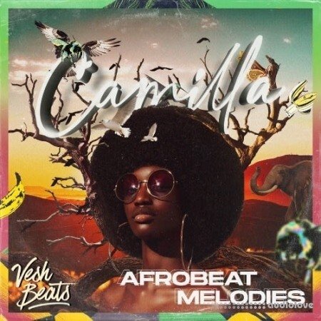 VeshBeats New AfroBeat Melodies