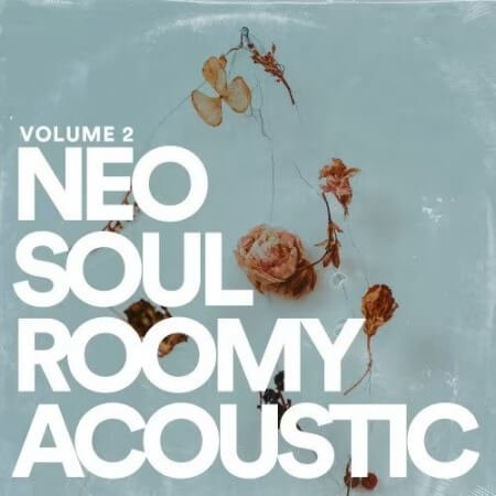 Jake Fine Neo Soul Guitar Sauce Vol.2 Roomy Acoustic