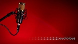 Udemy Being a Voice Artist Practical Tips to Start