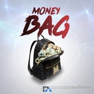 Phyness Audio Money Bag