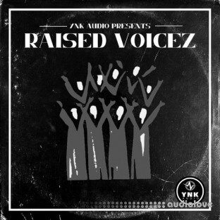 YnK Audio Raised Voicez