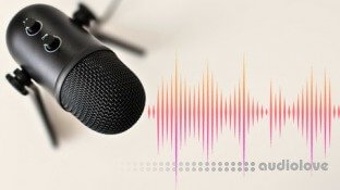 Udemy Acoustics Practical Indoor Sound Treatment