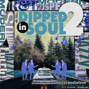 MSXII Sound Dipped In Soul Vol.2